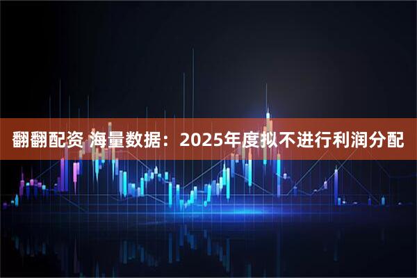 翻翻配资 海量数据：2025年度拟不进行利润分配