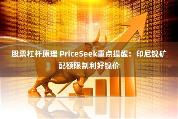 股票杠杆原理 PriceSeek重点提醒：印尼镍矿配额限制利好镍价